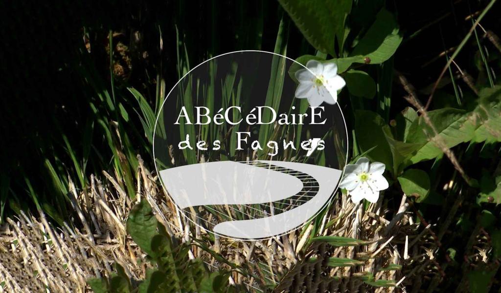 L'ABéCéDairE des Fagnes - 04/05/2024