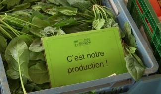 Froidmont : du potager au marché !