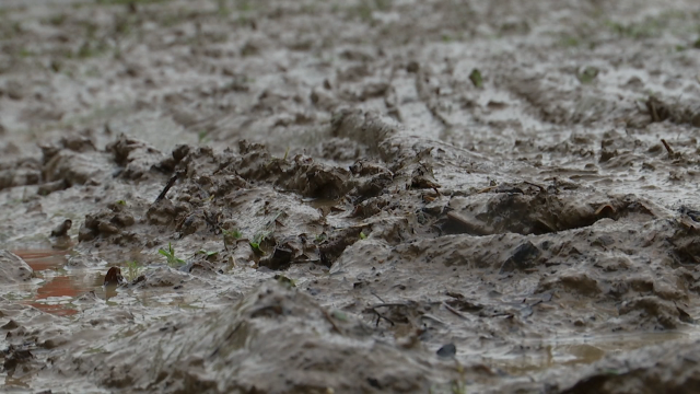 Senne et Dyle : les cours d'eau se stabilisent suite aux pluies