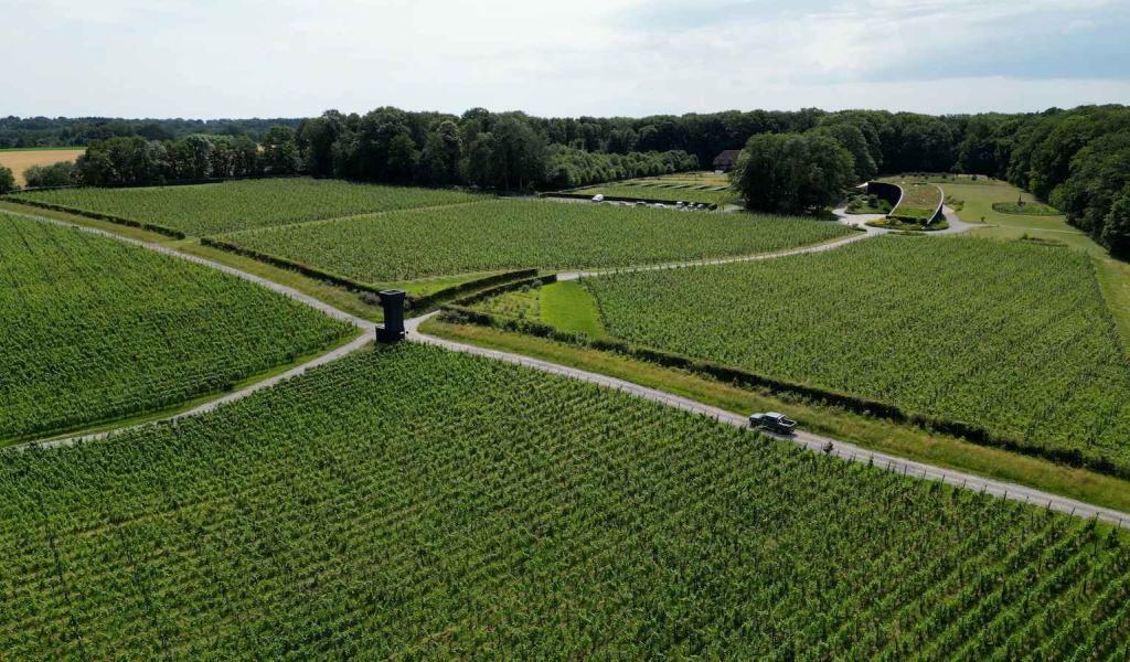 Le vignoble de Bousval primé par le Gault & Millau