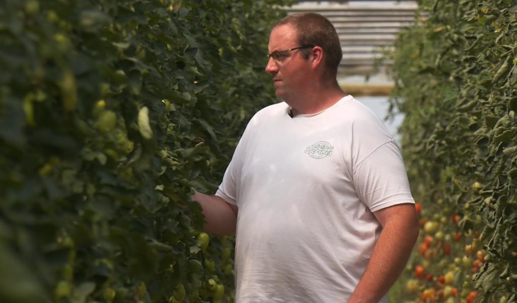 Une ferme familiale au cœur de Villers-la-Ville