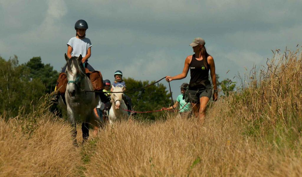 Des balades à cheval en famille pour découvrir Grez-Doiceau