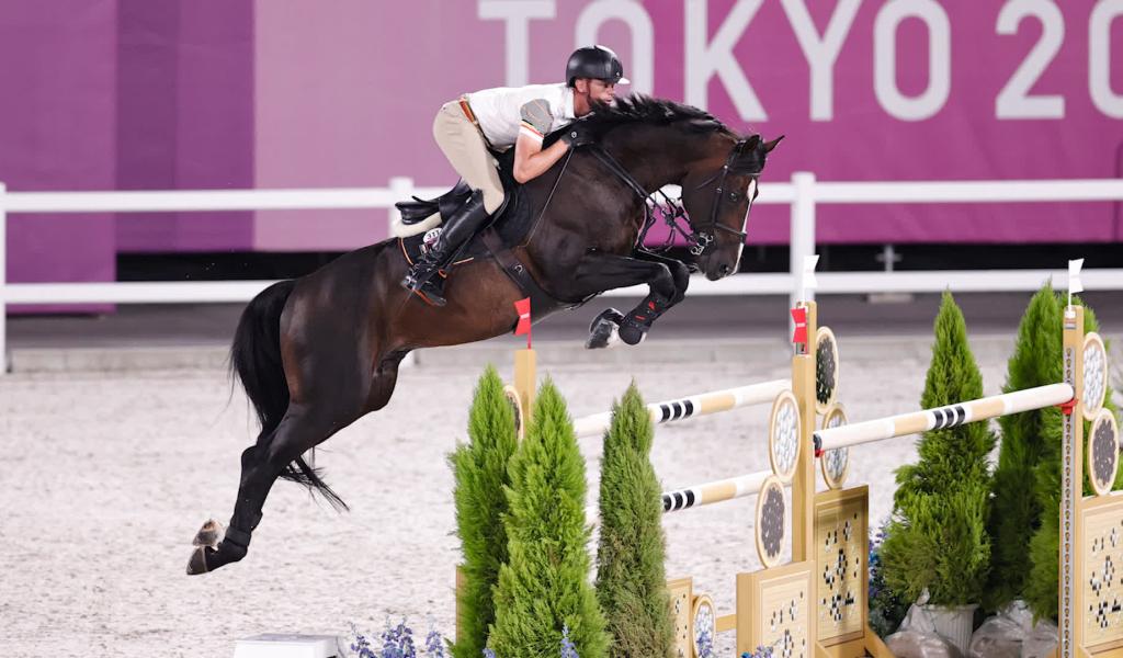 Fin de carrière sportive pour Quel Homme de Hûs, le cheval de Jérôme Guéry