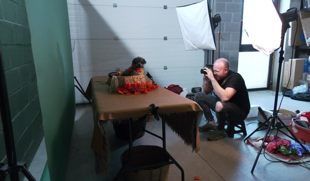 Une séance photo pour votre animal ? Une pratique à la mode