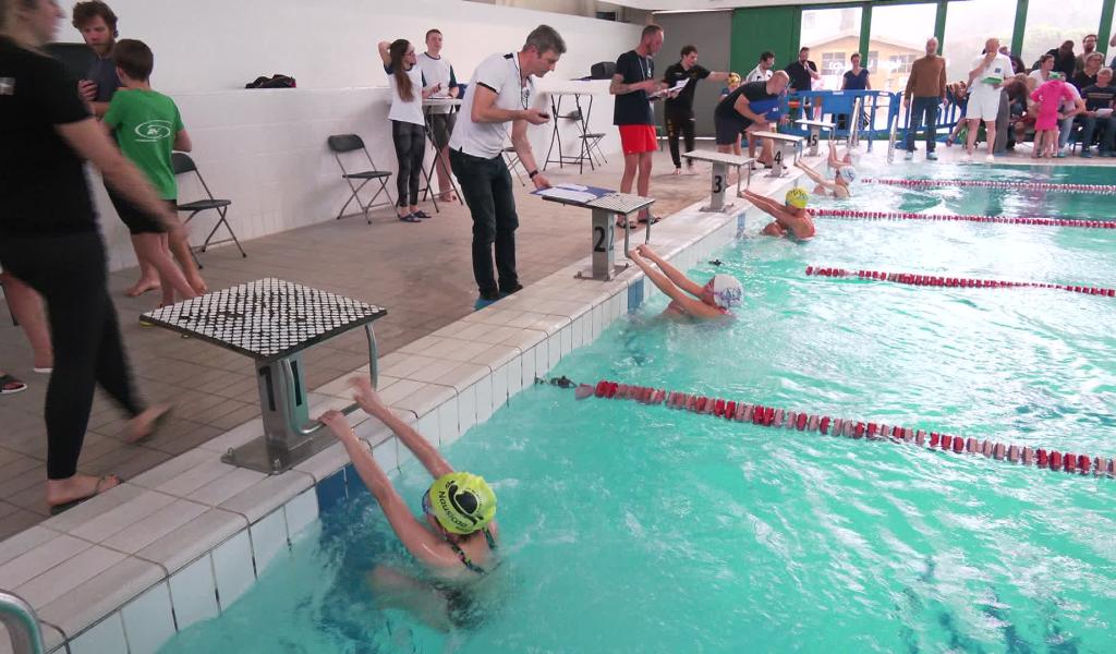 Natation : une compétition pour les 6-10 ans à Waterloo