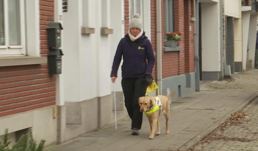 La fondation Bâtisseurs d'Étoiles soutient l'association Scale Dogs