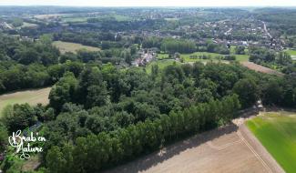 Brab'en Nature #3 : Les Monts de Braine-le-Château