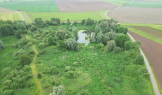 Brab'en Nature #4 : La réserve de la Tasnière