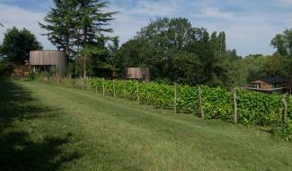 Le domaine de Biamont à Incourt, un vignoble et des logements insolites