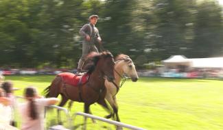 Les journées du cheval ont rassemblé les passionnés tout le week-end à Braine-l'Alleud