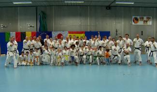 Karaté : Un stage d'exception au Dojo de Tubize