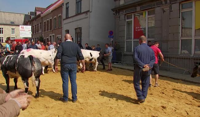 Moins de bête, toujours autant de public au Marché de l'Ascension de Jodoigne