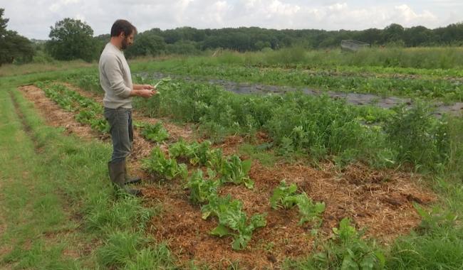 Lasne : un jeune maraîcher lance une levée de fonds