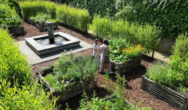 Villers-la-Ville : Des plantes médicinales à l'Abbaye