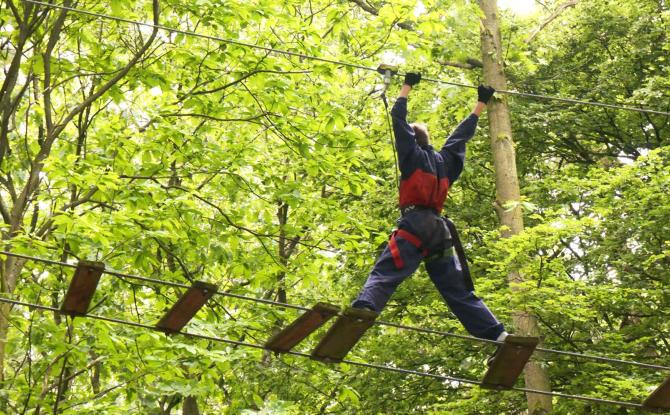 "L'arbre dans tous ses états", un parcours-photos pour les 20 ans d'Aventure Parc