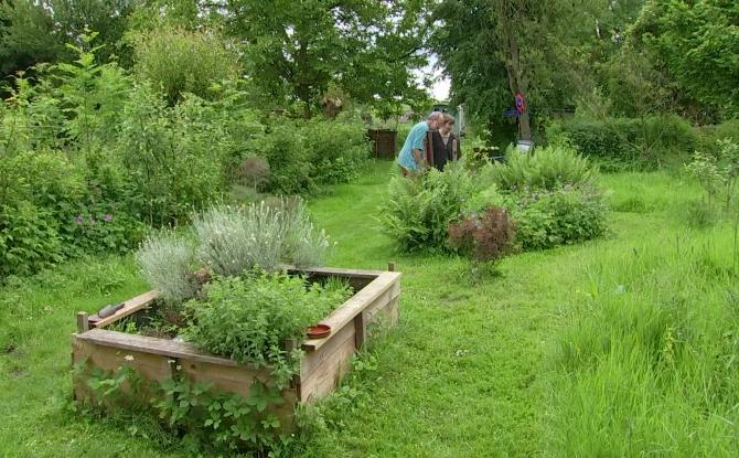 WE Jardins Nature : à la découverte du jardin de Jean et Sophie à Genappe