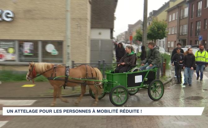 Un attelage pour PMR réalisé par les élèves de Saint-François d'Assise