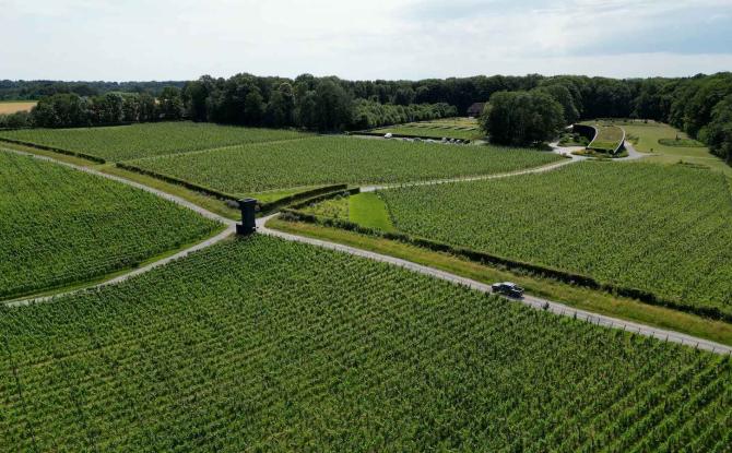 Le vignoble de Bousval primé par le Gault & Millau