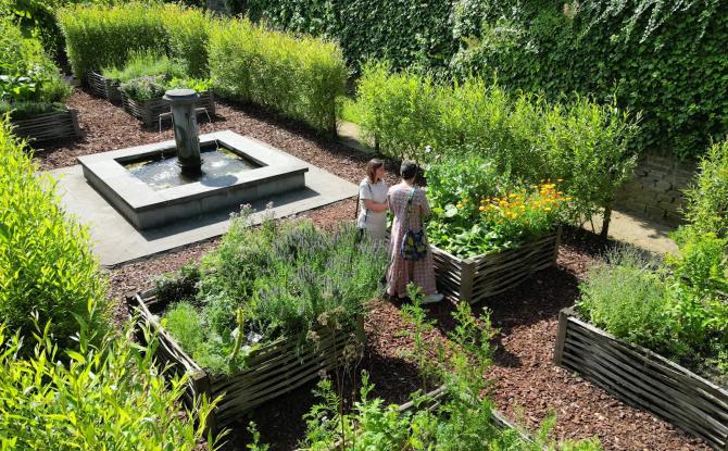 Villers-la-Ville : Des plantes médicinales à l'Abbaye