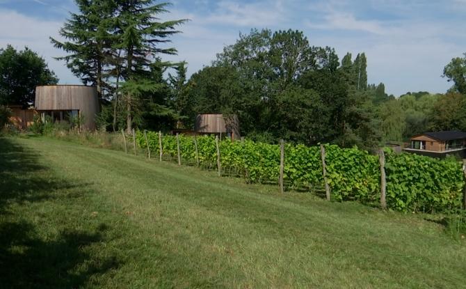 Le domaine de Biamont à Incourt, un vignoble et des logements insolites