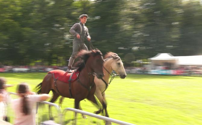 Les journées du cheval ont rassemblé les passionnés tout le week-end à Braine-l'Alleud